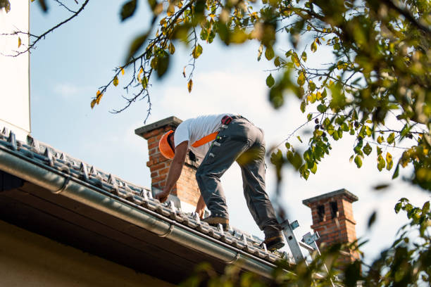 Best Best Roofing Contractors  in Waukon, IA