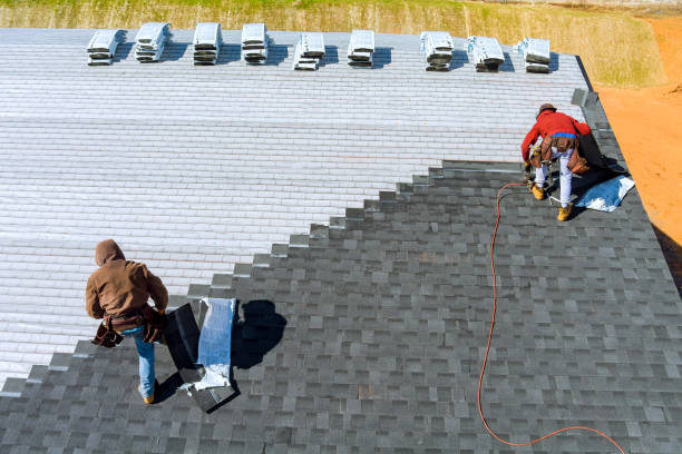 Best Flat Roof Repair Services  in Waukon, IA