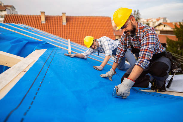 Best Commercial Roofing Services  in Waukon, IA