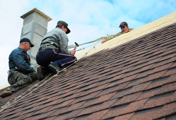 Best Roof Leak Repair  in Waukon, IA